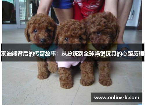 泰迪熊背后的传奇故事：从总统到全球畅销玩具的心路历程