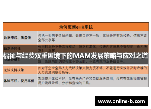 福祉与经费双重困境下的MAM发展策略与应对之道