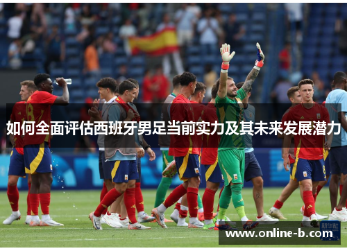 如何全面评估西班牙男足当前实力及其未来发展潜力